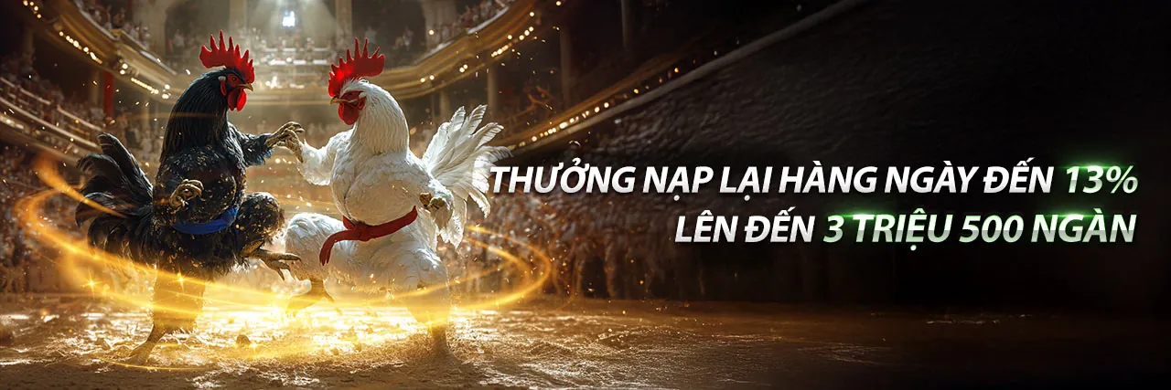 Đá gà trực tiếp tại vinbet đăng nhập